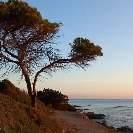 Апартаменты La Casa Dei Pesci