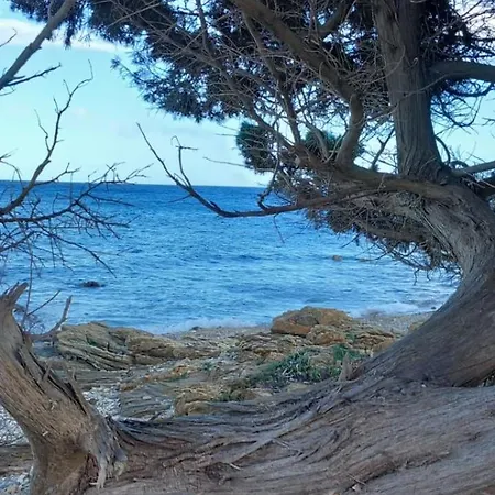 Апартаменты La Casa Dei Pesci *